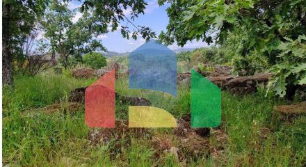 Residential - Farm - Penamacor, Penamacor - PT