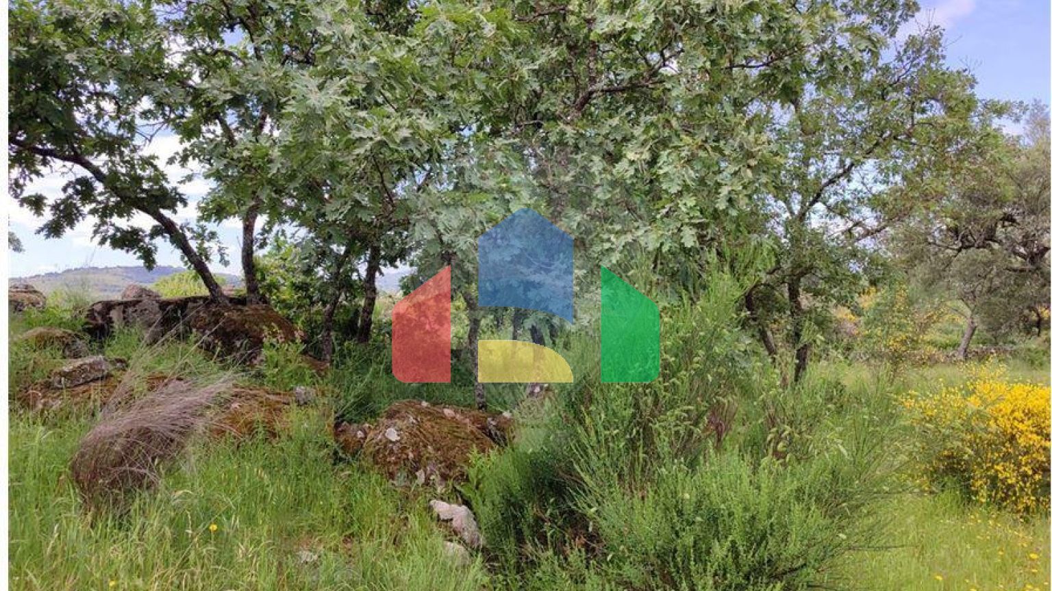 Residential - Farm - Penamacor, Penamacor - PT