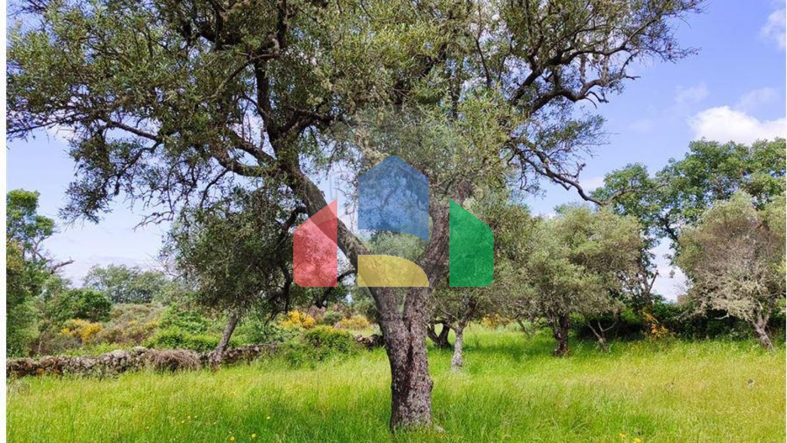 Residential - Farm - Penamacor, Penamacor - PT