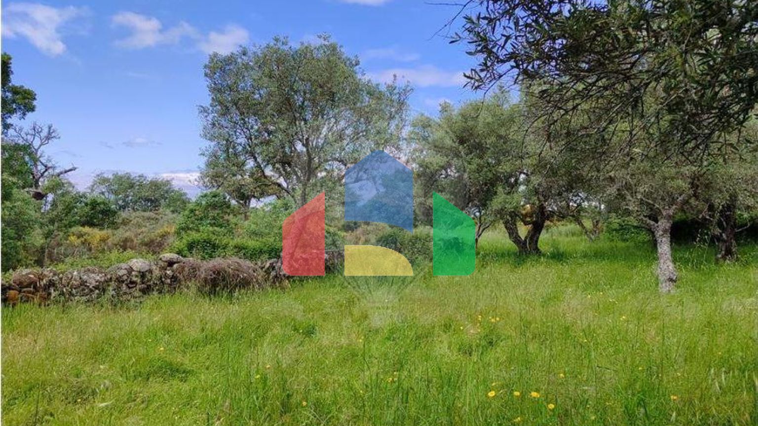 Residential - Farm - Penamacor, Penamacor - PT