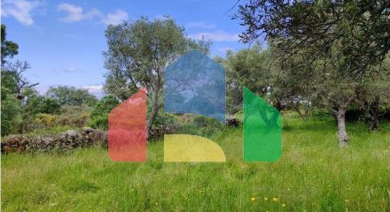 Residential - Farm - Penamacor, Penamacor - PT