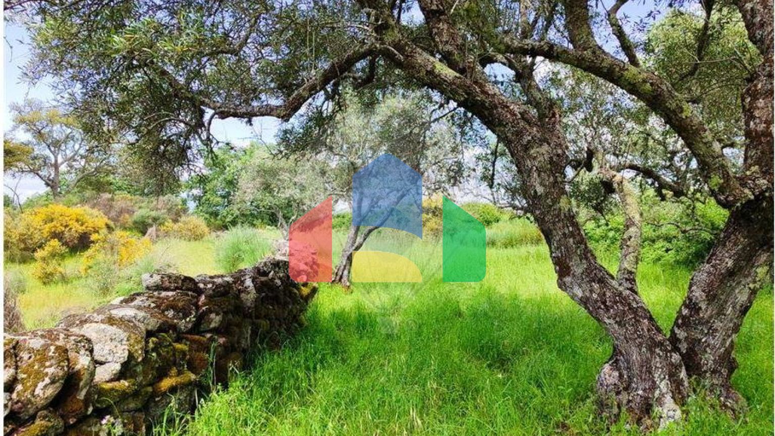 Residential - Farm - Penamacor, Penamacor - PT