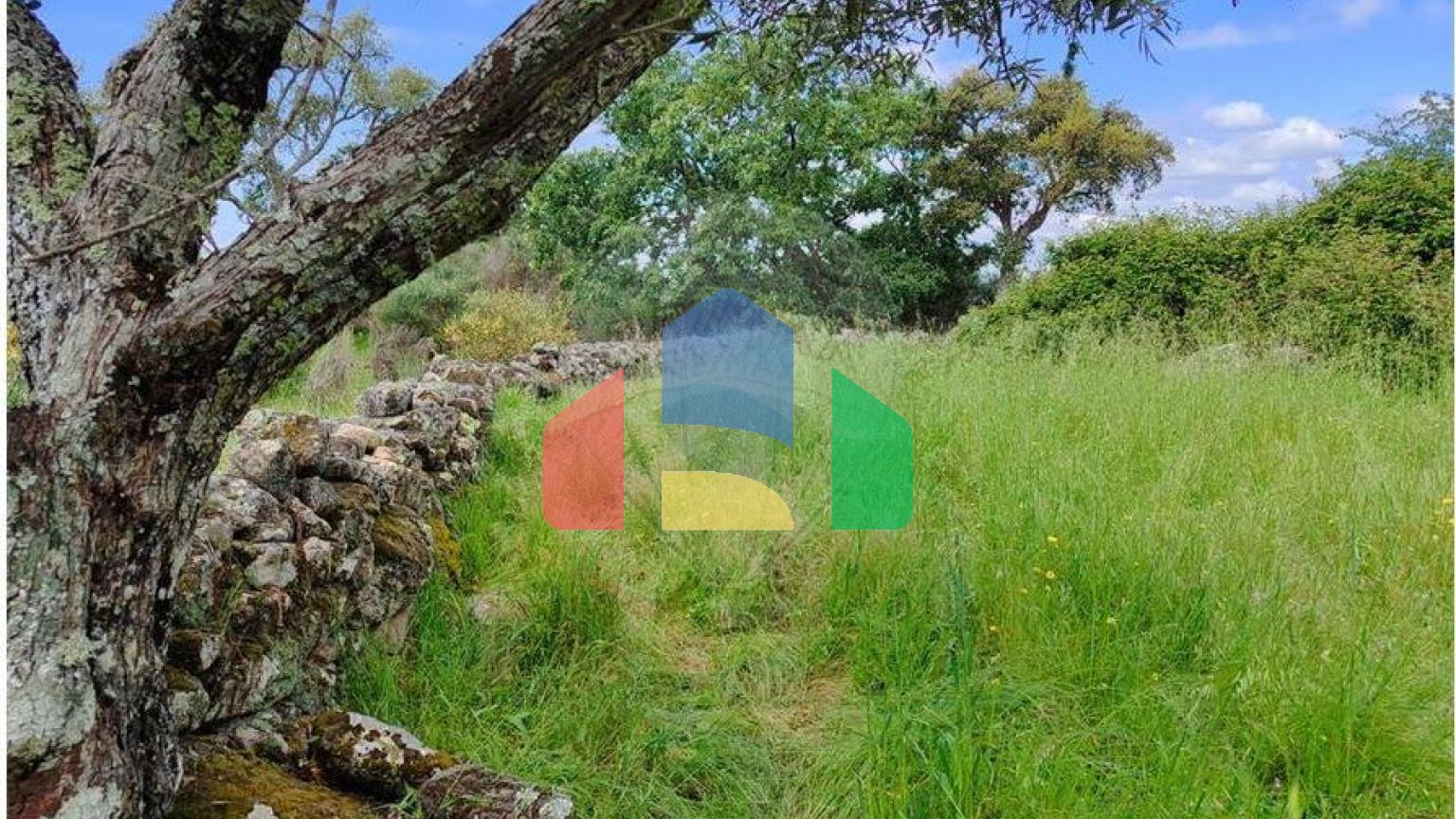 Residential - Farm - Penamacor, Penamacor - PT