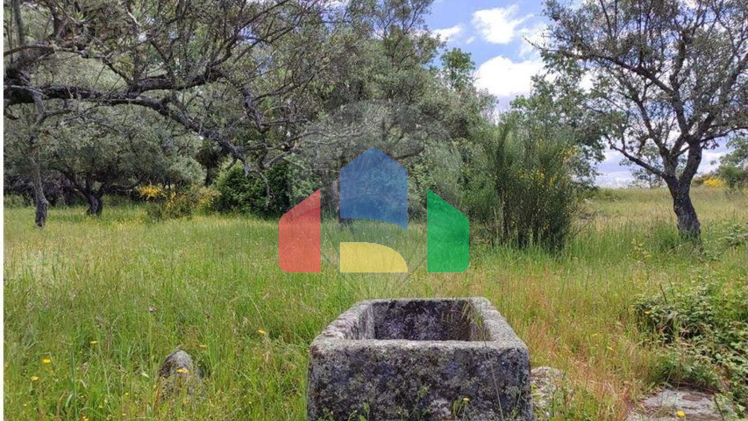 Residential - Farm - Penamacor, Penamacor - PT