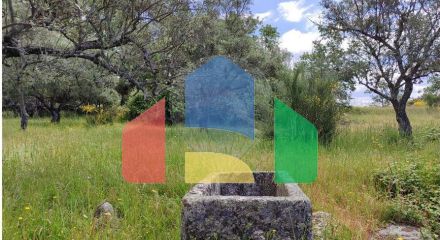 Residential - Farm - Penamacor, Penamacor - PT