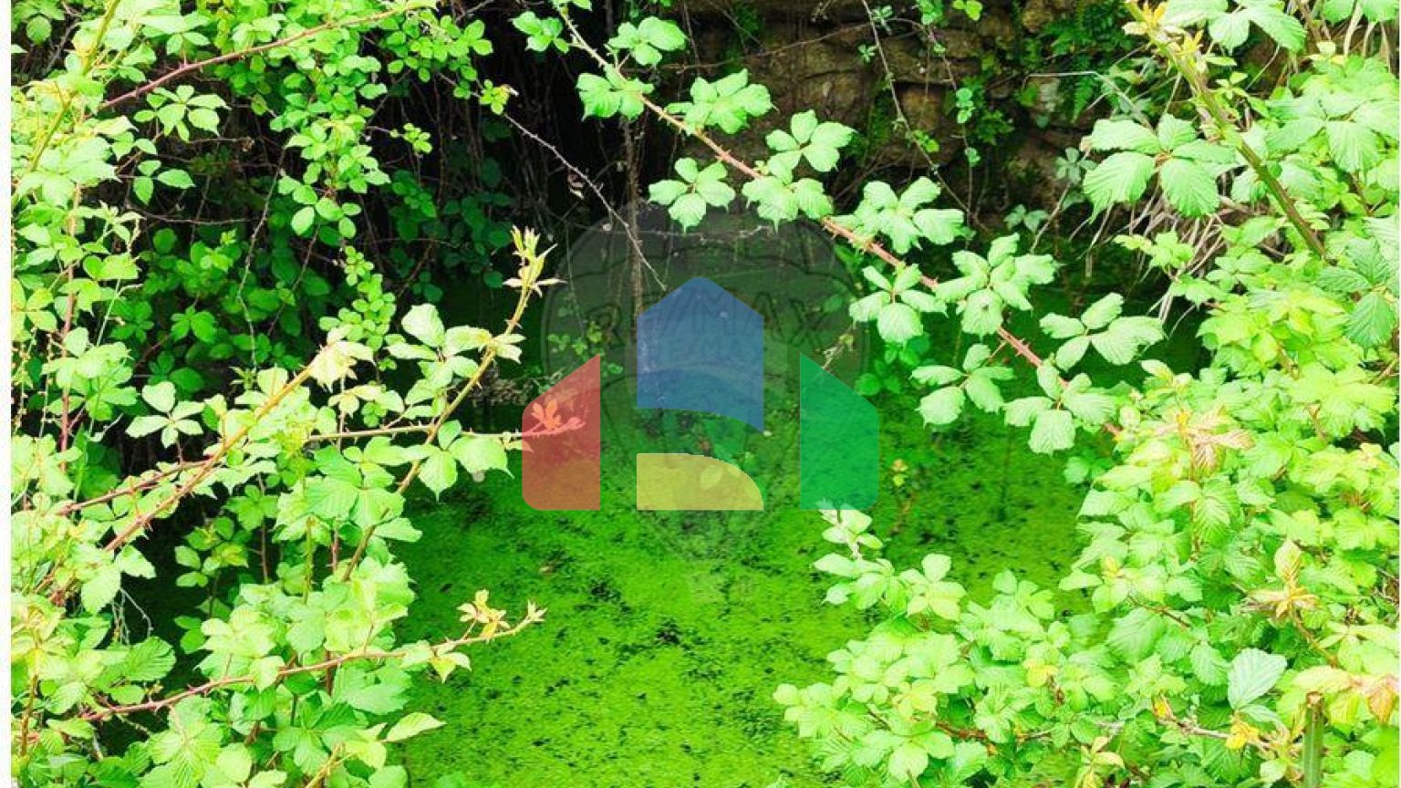 Residential - Farm - Penamacor, Penamacor - PT