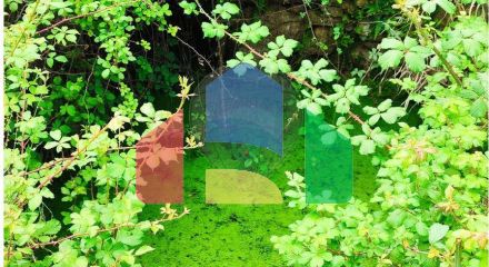 Residential - Farm - Penamacor, Penamacor - PT