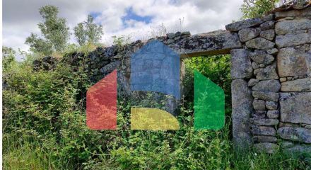 Residential - Farm - Penamacor, Penamacor - PT