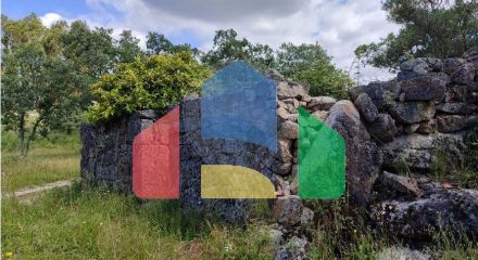 Residential - Farm - Penamacor, Penamacor - PT