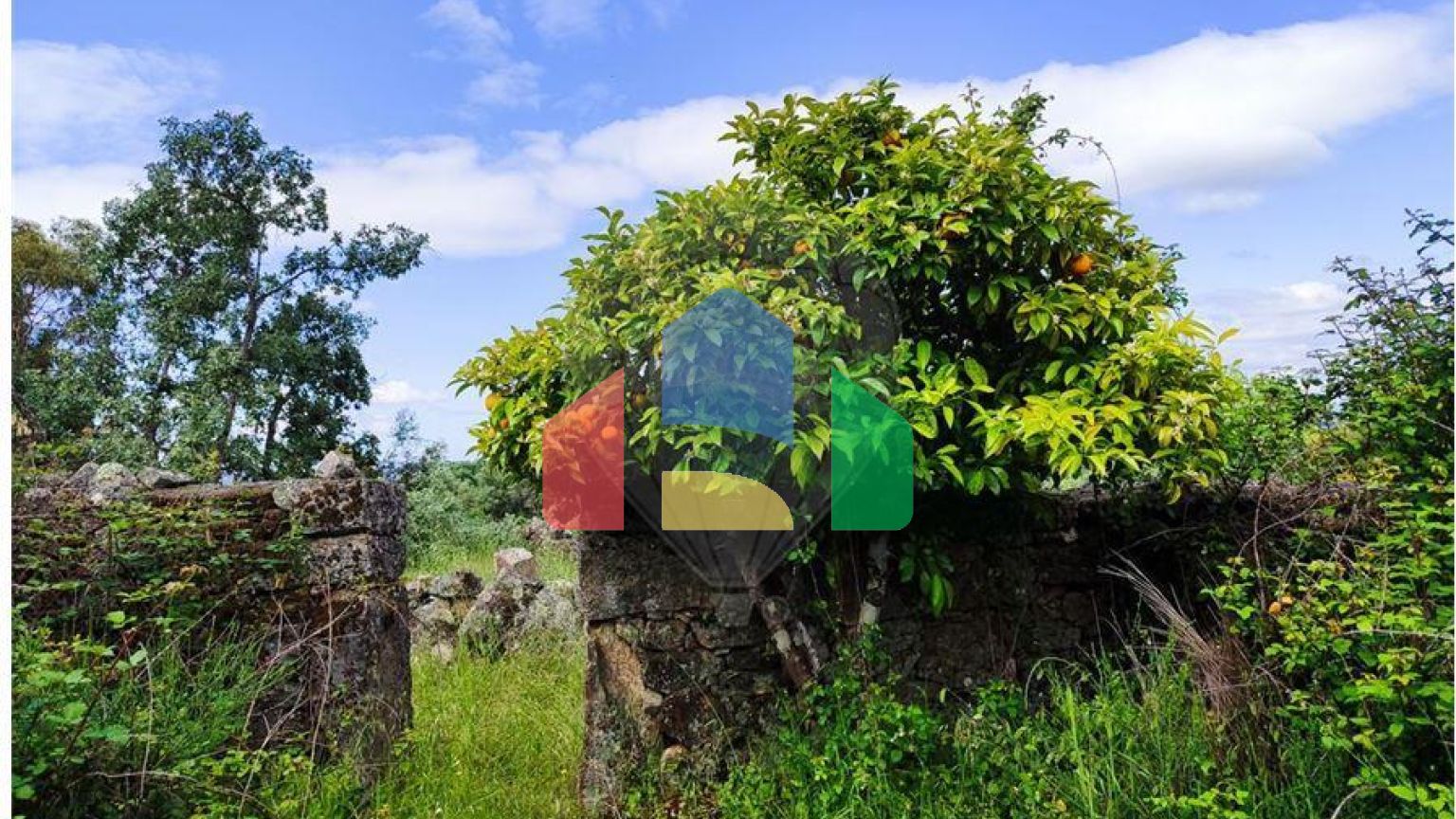 Residential - Farm - Penamacor, Penamacor - PT