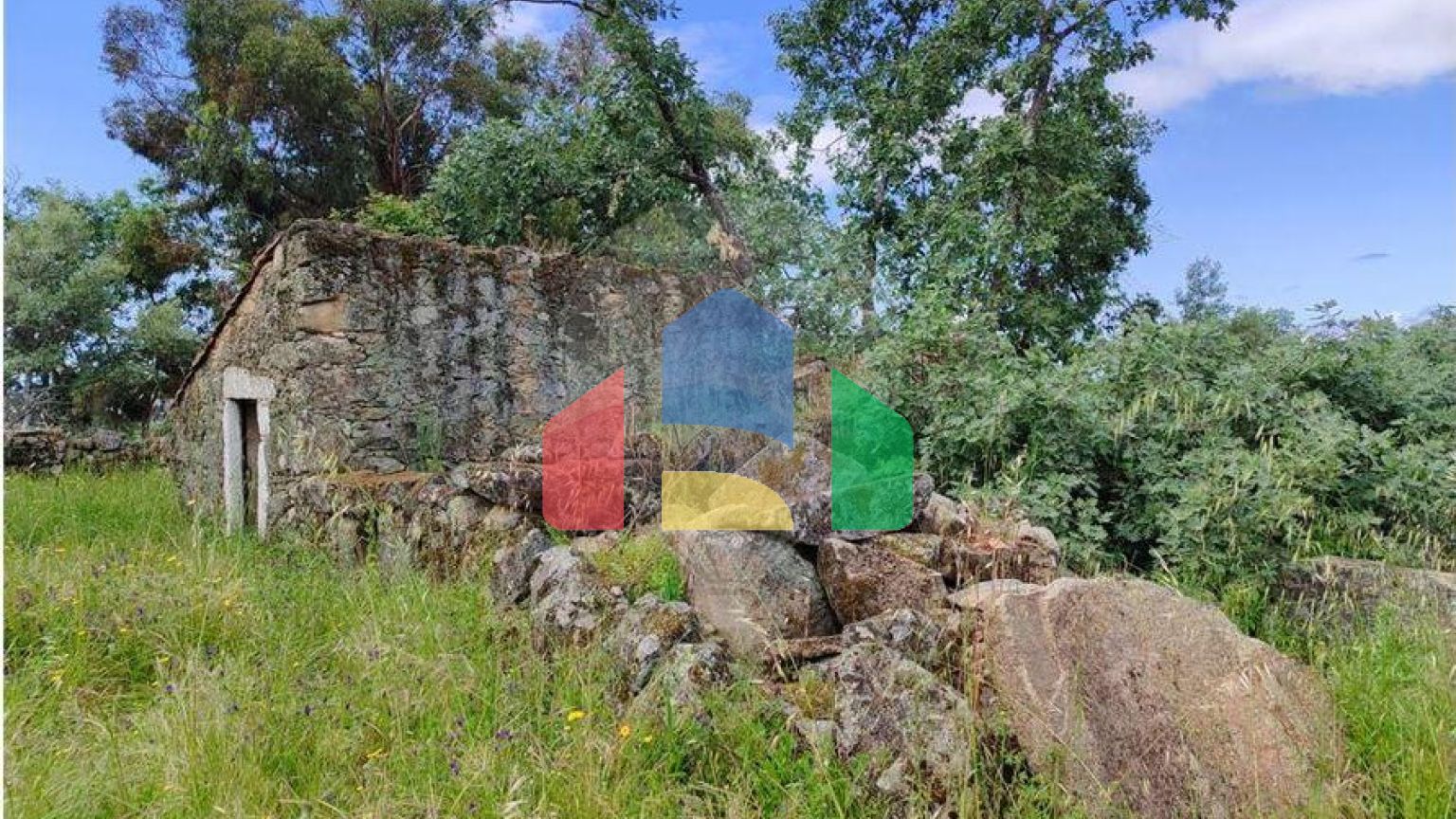 Residential - Farm - Penamacor, Penamacor - PT