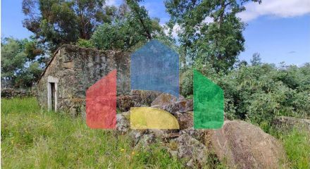 Residential - Farm - Penamacor, Penamacor - PT