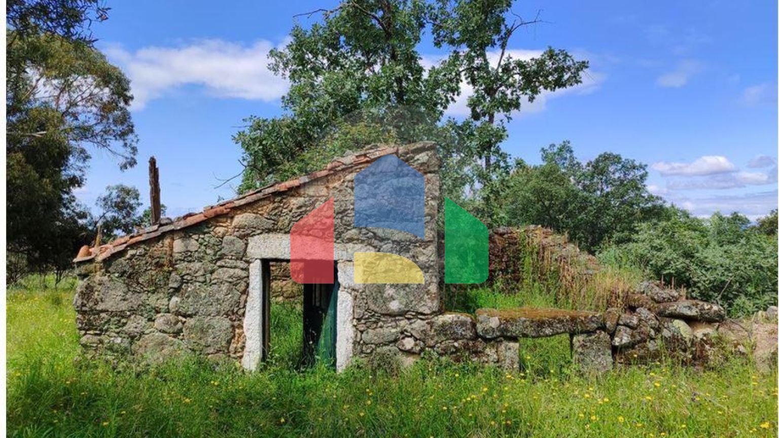 Residential - Farm - Penamacor, Penamacor - PT