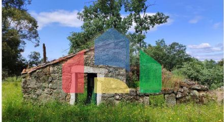 Residential - Farm - Penamacor, Penamacor - PT