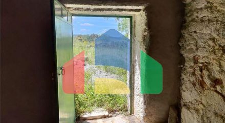 Residential - Farm - Penamacor, Penamacor - PT