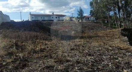 Residential - Land - Santa Eufémia e Boa Vista, Leiria - PT