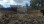 Residential - Land - Santa Eufémia e Boa Vista, Leiria - PT