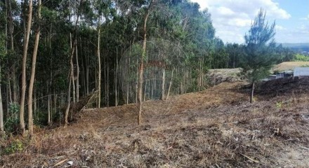 Residential - Land - Santa Eufémia e Boa Vista, Leiria - PT