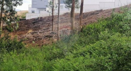 Residential - Land - Santa Eufémia e Boa Vista, Leiria - PT
