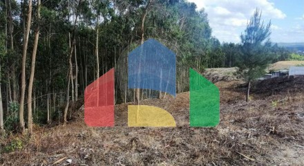 Residential - Land - Santa Eufémia e Boa Vista, Leiria - PT