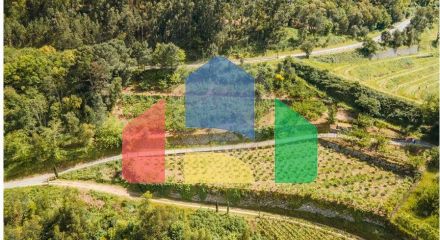 Residential - Single Family Home - T6 - Resende, Resende - PT