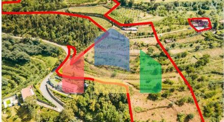 Residential - Single Family Home - T6 - Resende, Resende - PT