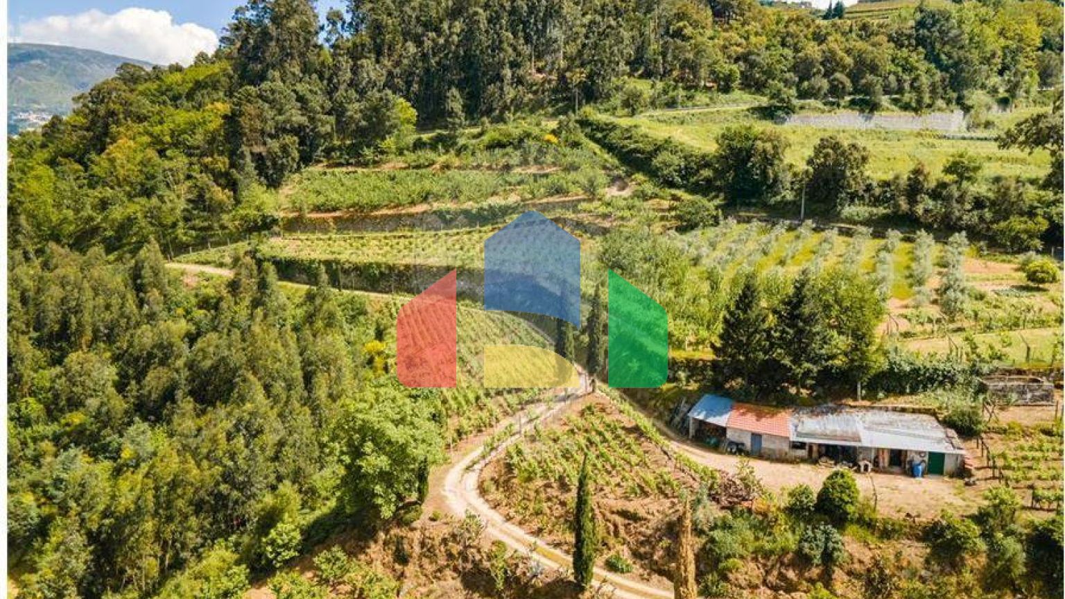 Residential - Single Family Home - T6 - Resende, Resende - PT