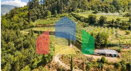 Residential - Single Family Home - T6 - Resende, Resende - PT