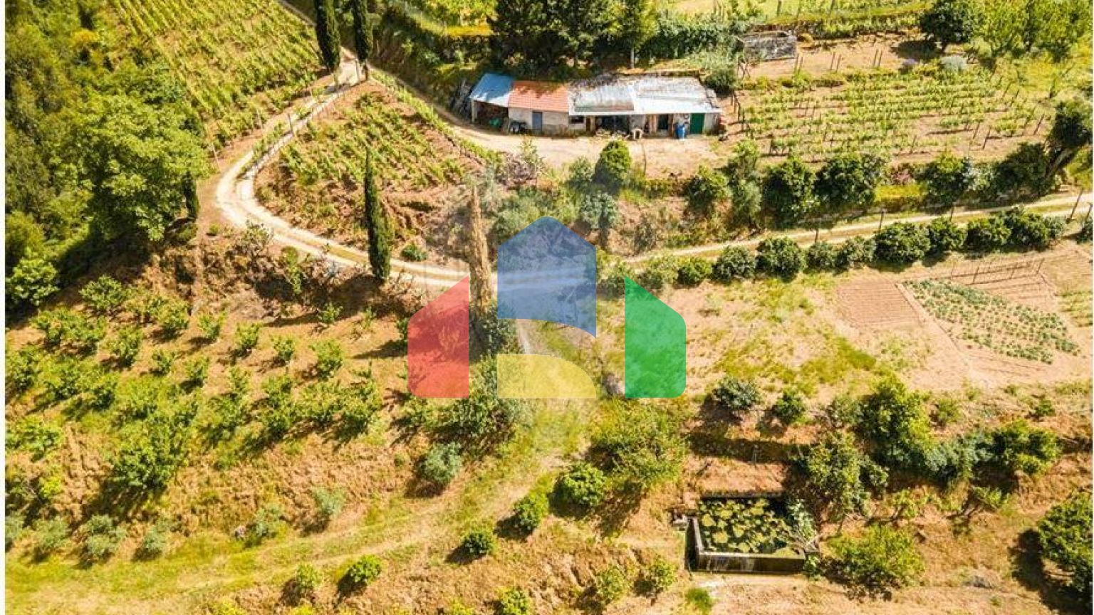 Residential - Single Family Home - T6 - Resende, Resende - PT