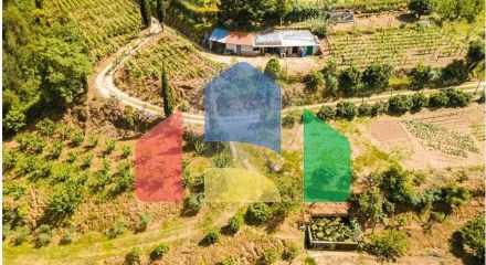 Residential - Single Family Home - T6 - Resende, Resende - PT