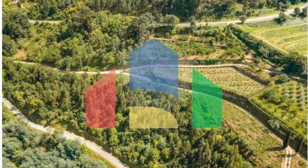 Residential - Single Family Home - T6 - Resende, Resende - PT