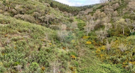 Residential - Land - Santa Clara-a-Velha, Odemira - PT