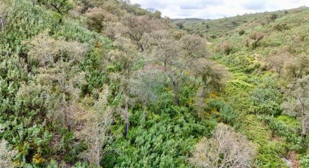 Residential - Land - Santa Clara-a-Velha, Odemira - PT
