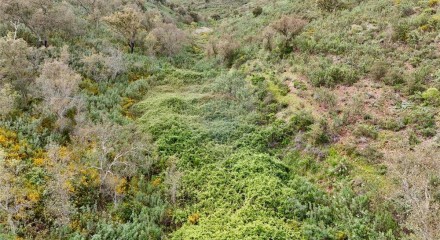 Residential - Land - Santa Clara-a-Velha, Odemira - PT