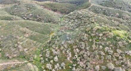 Residential - Land - Santa Clara-a-Velha, Odemira - PT
