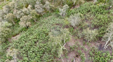 Residential - Land - Santa Clara-a-Velha, Odemira - PT