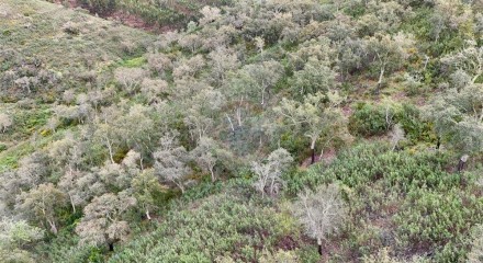 Residential - Land - Santa Clara-a-Velha, Odemira - PT