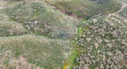 Residential - Land - Santa Clara-a-Velha, Odemira - PT
