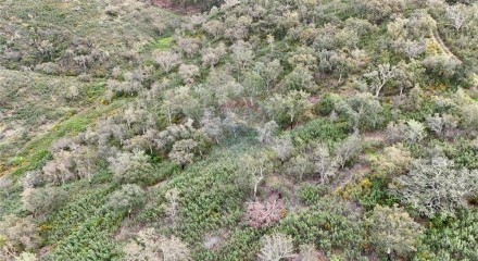 Residential - Land - Santa Clara-a-Velha, Odemira - PT