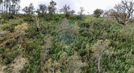 Residential - Land - Santa Clara-a-Velha, Odemira - PT