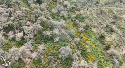 Residential - Land - Santa Clara-a-Velha, Odemira - PT