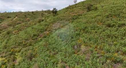 Residential - Land - Santa Clara-a-Velha, Odemira - PT
