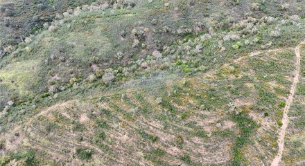 Residential - Land - Santa Clara-a-Velha, Odemira - PT