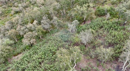 Residential - Land - Santa Clara-a-Velha, Odemira - PT