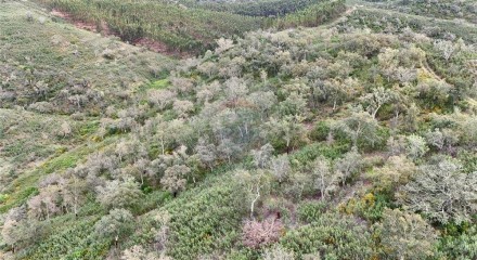 Residential - Land - Santa Clara-a-Velha, Odemira - PT