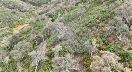 Residential - Land - Santa Clara-a-Velha, Odemira - PT