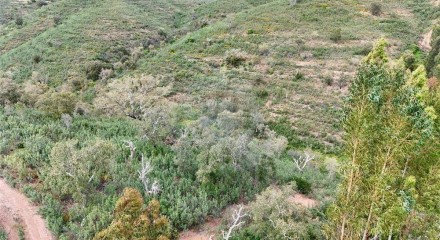 Residential - Land - Santa Clara-a-Velha, Odemira - PT