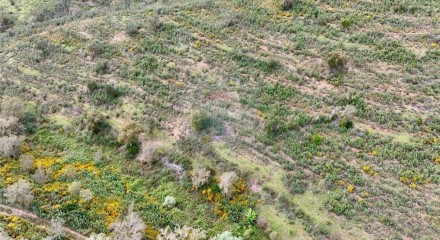 Residential - Land - Santa Clara-a-Velha, Odemira - PT