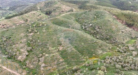 Residential - Land - Santa Clara-a-Velha, Odemira - PT