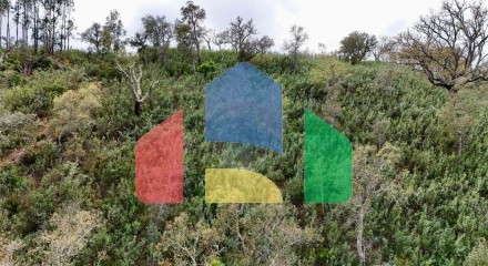 Residential - Land - Santa Clara-a-Velha, Odemira - PT